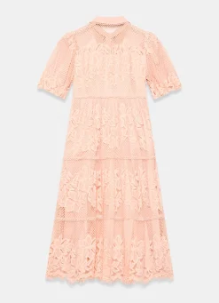 Best Pink Lace Midi Shirt Dress Occasion Dresses|Occasion Dresses