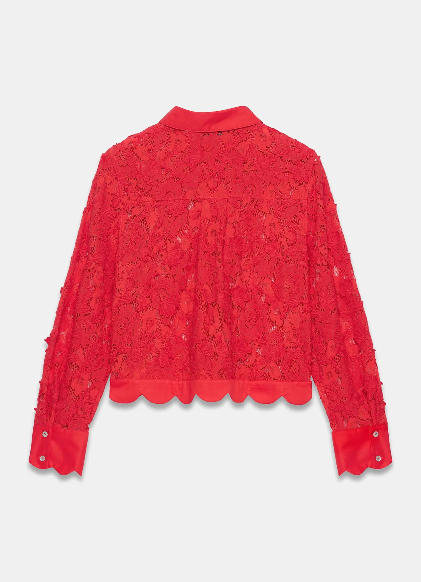 Online Lace Cropped Shirt Shirts & Blouses