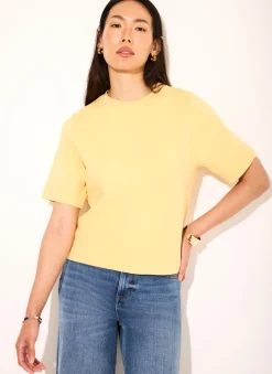 Best Cotton Ultimate T-Shirt T-Shirts|T-Shirts